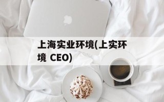 上海实业环境(上实环境 CEO)