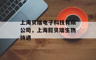 上海贝瑞电子科技有限公司，上海懿贝瑞生物待遇