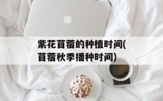 紫花苜蓿的种植时间(苜蓿秋季播种时间)