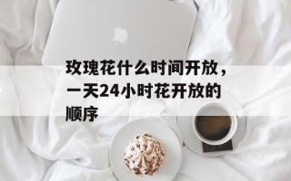 玫瑰花什么时间开放，一天24小时花开放的顺序