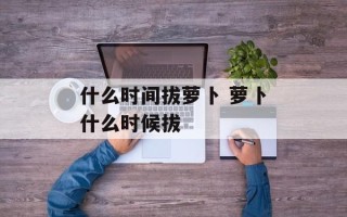 什么时间拔萝卜 萝卜什么时候拔
