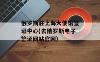俄罗斯驻上海大使馆签证中心(去俄罗斯电子签证网站官网)