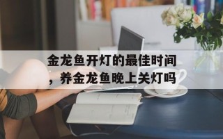 金龙鱼开灯的最佳时间，养金龙鱼晚上关灯吗