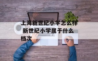 上海新世纪小学怎么样 新世纪小学属于什么档次