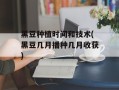 黑豆种植时间和技术(黑豆几月播种几月收获)