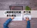 鹌鹑孵化时间，芦丁鸡多久孵化