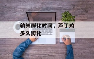 鹌鹑孵化时间，芦丁鸡多久孵化