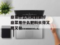 韭菜什么时间割最好 韭菜用什么肥料长得又肥又壮