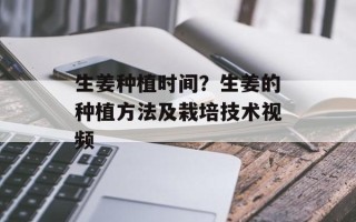 生姜种植时间？生姜的种植方法及栽培技术视频