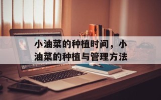 小油菜的种植时间，小油菜的种植与管理方法