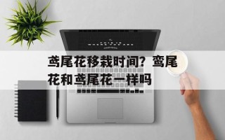 鸢尾花移栽时间？鸾尾花和鸢尾花一样吗
