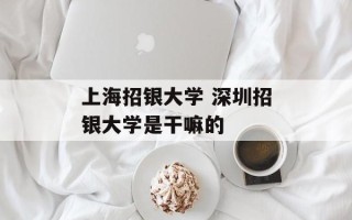 上海招银大学 深圳招银大学是干嘛的