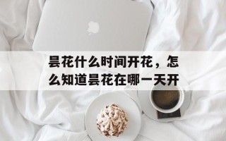 昙花什么时间开花，怎么知道昙花在哪一天开