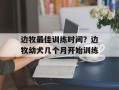 边牧最佳训练时间？边牧幼犬几个月开始训练