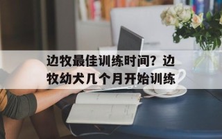 边牧最佳训练时间？边牧幼犬几个月开始训练