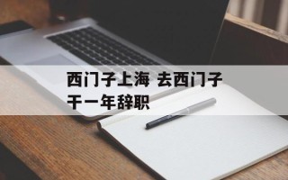 西门子上海 去西门子干一年辞职