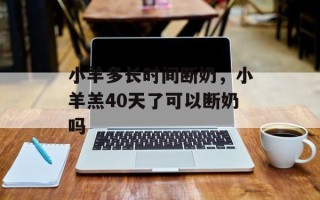 小羊多长时间断奶，小羊羔40天了可以断奶吗