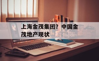 上海金茂集团？中国金茂地产现状