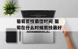 葡萄剪枝最佳时间 葡萄在什么时候剪枝最好