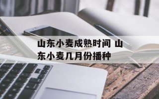 山东小麦成熟时间 山东小麦几月份播种
