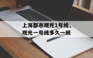 上海都市观光1号线，观光一号线多久一班