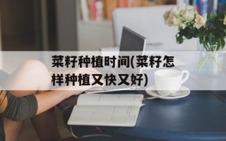 菜籽种植时间(菜籽怎样种植又快又好)