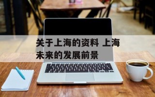 关于上海的资料 上海未来的发展前景