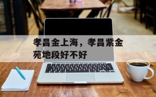 孝昌金上海，孝昌紫金苑地段好不好