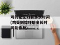 鸡的记忆力有多长时间(鸡受到惊吓后多长时间能恢复)