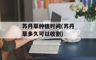 苏丹草种植时间(苏丹草多久可以收割)