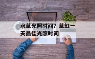 水草光照时间？草缸一天最佳光照时间