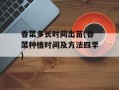 香菜多长时间出苗(香菜种植时间及方法四季)