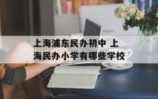 上海浦东民办初中 上海民办小学有哪些学校