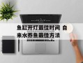 鱼缸开灯最佳时间 自来水养鱼最佳方法