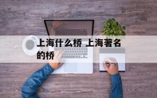 上海什么桥 上海著名的桥