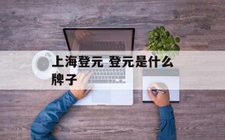 上海登元 登元是什么牌子