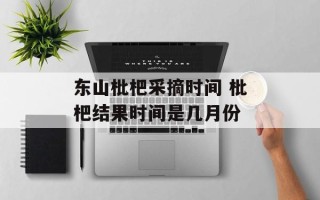 东山枇杷采摘时间 枇杷结果时间是几月份