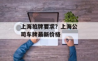 上海拍牌要求？上海公司车牌最新价格