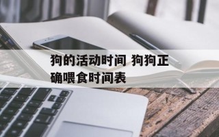 狗的活动时间 狗狗正确喂食时间表