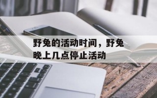 野兔的活动时间，野兔晚上几点停止活动