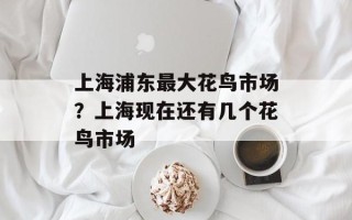 上海浦东最大花鸟市场？上海现在还有几个花鸟市场