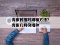 青椒种植时间和方法？青椒几月份播种