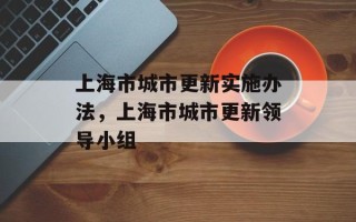上海市城市更新实施办法，上海市城市更新领导小组