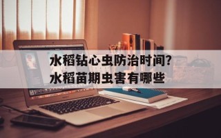 水稻钻心虫防治时间？水稻苗期虫害有哪些