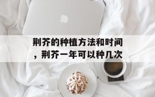 荆芥的种植方法和时间，荆芥一年可以种几次