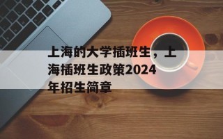 上海的大学插班生，上海插班生政策2024年招生简章