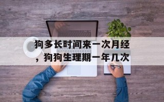 狗多长时间来一次月经，狗狗生理期一年几次