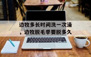边牧多长时间洗一次澡，边牧脱毛季要脱多久