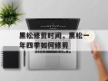 黑松修剪时间，黑松一年四季如何修剪