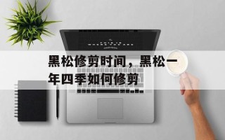黑松修剪时间，黑松一年四季如何修剪